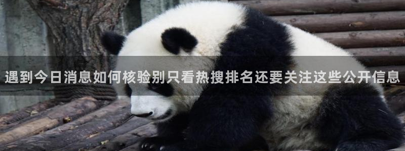 吃瓜热点:遇到今日消息如何核验别只看热搜排名还要关注这些公开信息