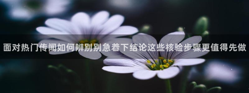 吃瓜网络热点:面对热门传闻如何辨别别急着下结论这些核验步骤更值得先做