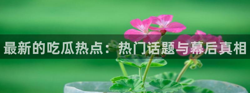51吃瓜最新事件